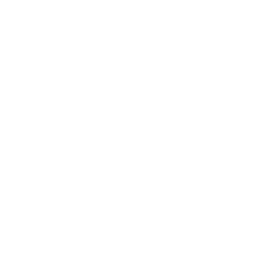 The Process CEO logo