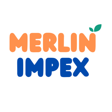 merlin impex logo