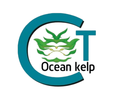 CT Ocean Kelp logo