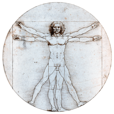 Κέντρο Φυσικοθεραπείας | 3D Therapy | Δρόσος Βασίλειος logo