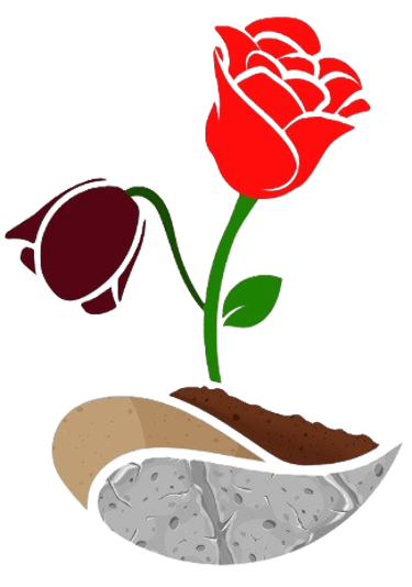 WizeKap logo