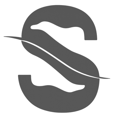 Silkskin Depilación láser y Estética logo