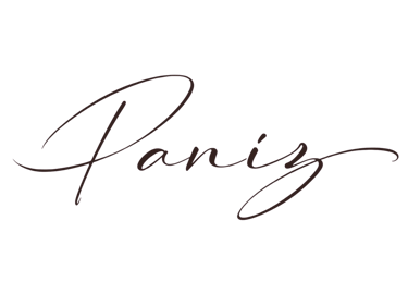 Paniz Art logo