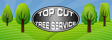 Top Cut Tree Service Inc. logo
