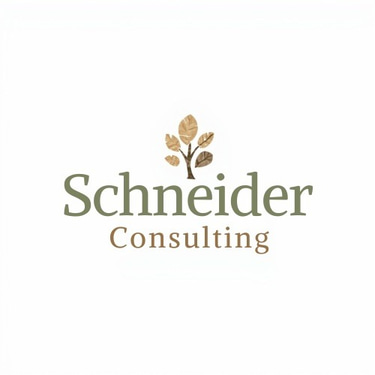 Schneider Consulting logo