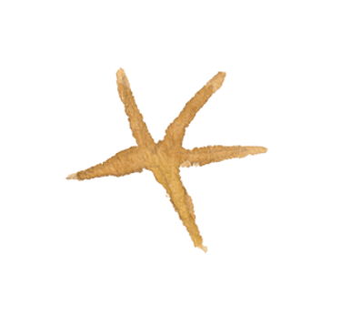 Carolina & Vinicíus logo