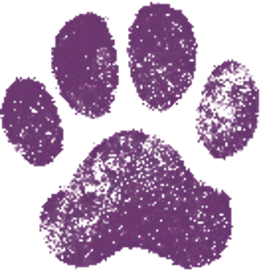 Teddy Bear Cockapoos and Doodles logo