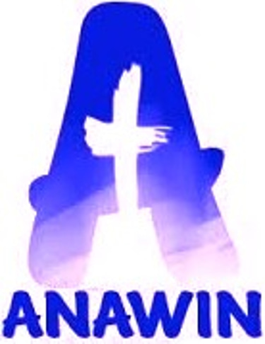 ANAWIN logo