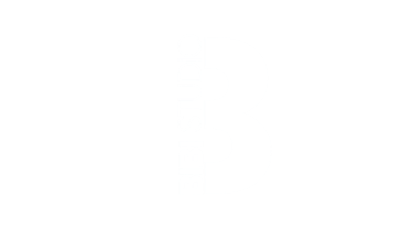 BiBi Studio logo