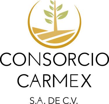 Consorcio Carmex logo