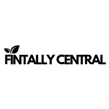 Fintally Central logo