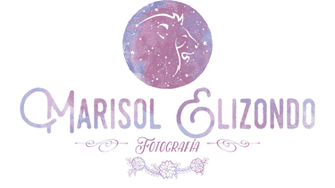 Marisol Elizondo Fotografía logo