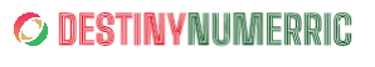 Destiny Numerric logo