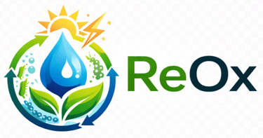 ReOx logo