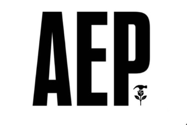 American Equity Partners logo