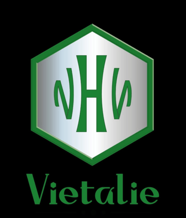 VIETALIE logo