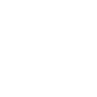 ProCodeDev logo