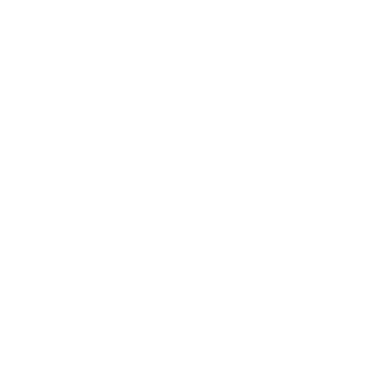 XStupid logo