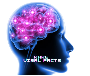 Rare Viral Facts logo