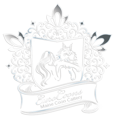 gatitos encantadores en venta logo