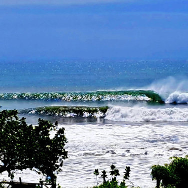 El Tránsito Surf Camp logo