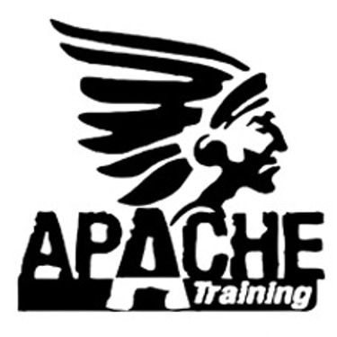apachetraining logo