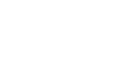 FleetFlow Logistics logo