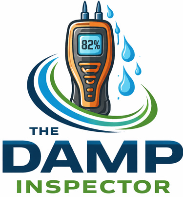 Damp and Mould Detective logo