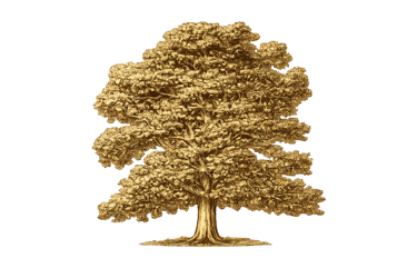 Black Oak Land and Capital logo