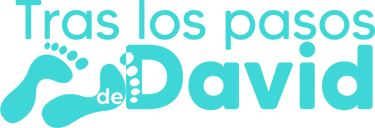 Fundación Tras Los Pasos De David logo