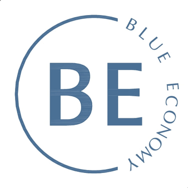 Blue Economy j.d.o.o. Distributors and Reseller logo