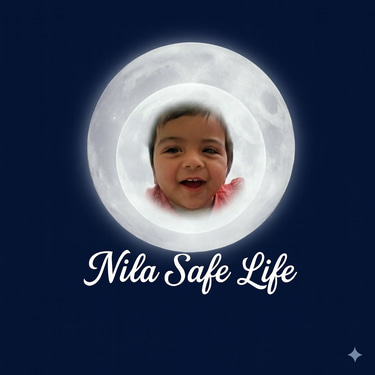 Nila safe life solutions logo