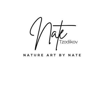 natureartbynate logo