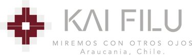 kai filu logo
