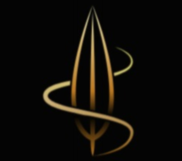 GoodNetStrategy logo