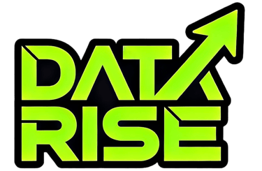 Data Rise logo