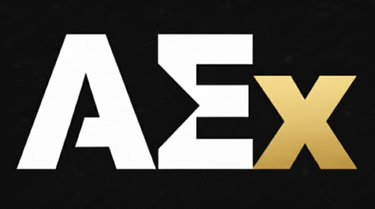 AlgoEngineX – Global SEO Agency logo