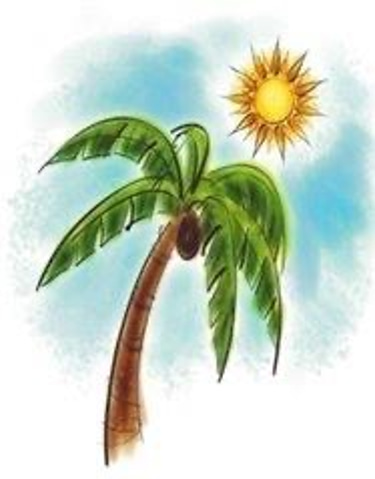 Oasis Summer Feeding logo