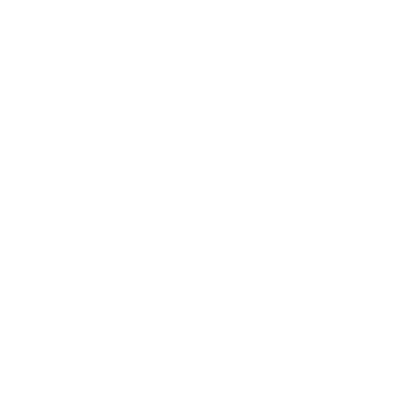 Flip411 logo