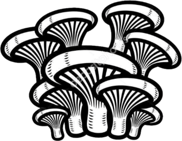 MyShrooms.cz logo
