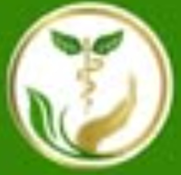 St Irenaus Medical Services logo