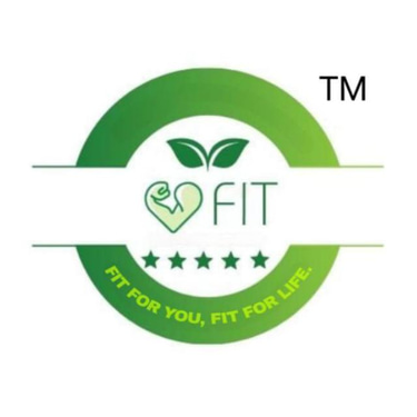 V FIT logo