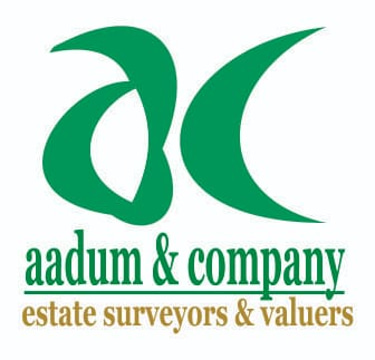 Abuja Property Experts logo