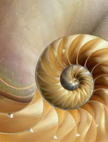 Marte Cellura Studios logo