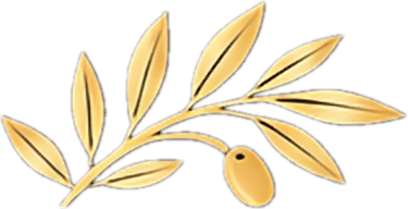 Rafolive-Tunisia logo