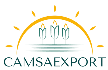 Camsaexport S.A. logo