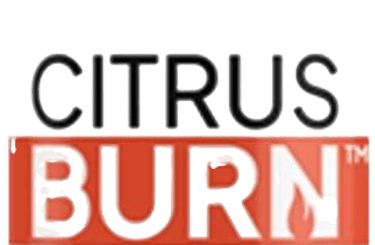 CitrusBurn logo