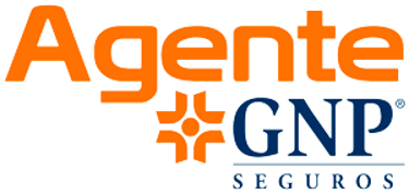 Seguro de Auto GNP en Toluca y Metepec | Agente GNP Certificado logo