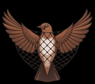 COME FAST ANTI BIRD NETDEALERS IN PATNA logo