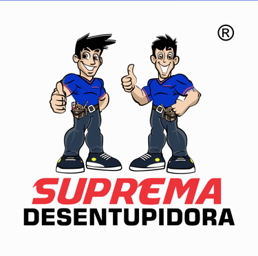 Desentupidora São Paulo logo